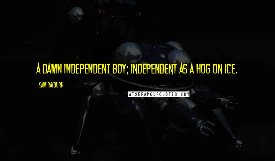 Sam Rayburn Quotes: A damn independent boy; independent as a hog on ice.