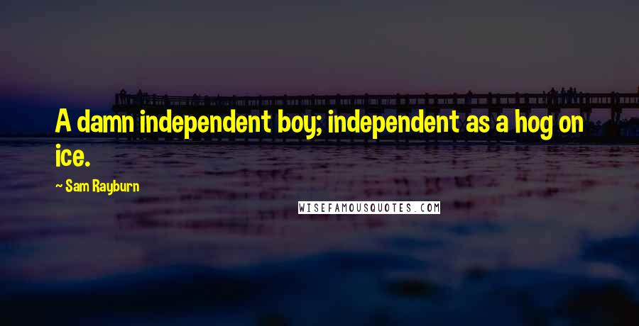 Sam Rayburn Quotes: A damn independent boy; independent as a hog on ice.