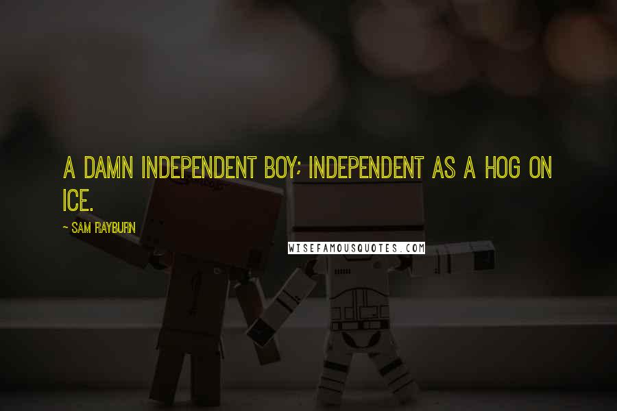 Sam Rayburn Quotes: A damn independent boy; independent as a hog on ice.