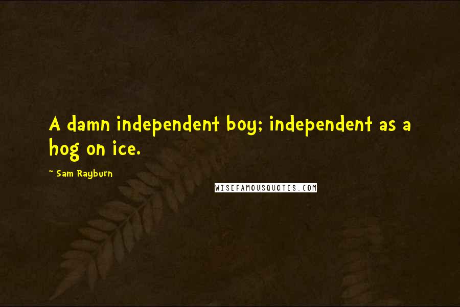 Sam Rayburn Quotes: A damn independent boy; independent as a hog on ice.