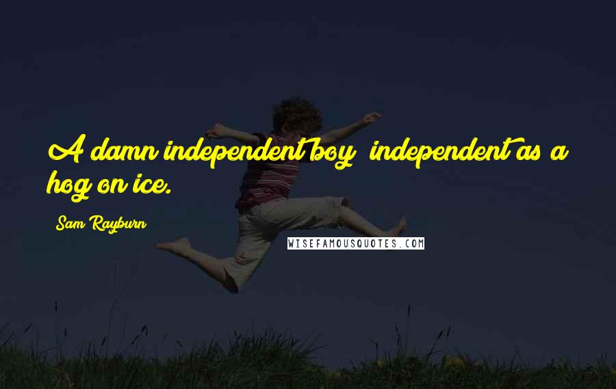 Sam Rayburn Quotes: A damn independent boy; independent as a hog on ice.