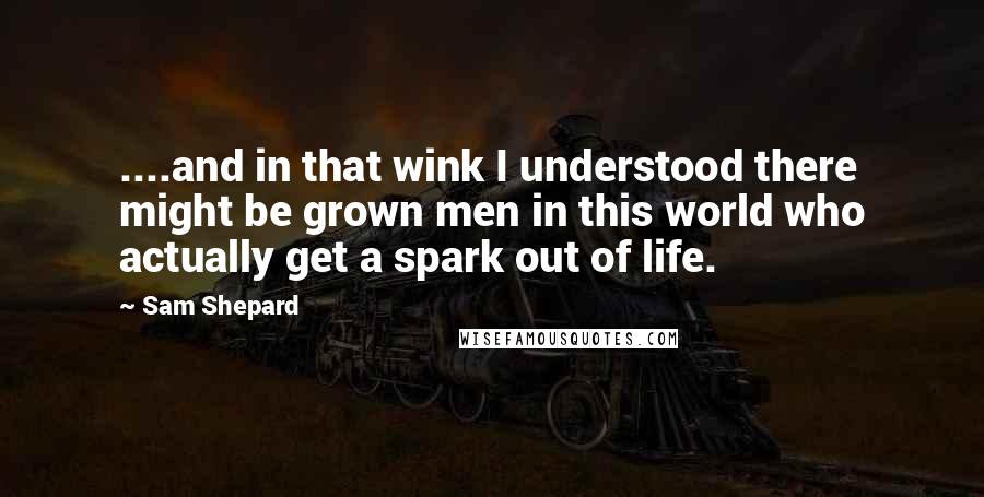 Sam Shepard Quotes: ....and in that wink I understood there might be grown men in this world who actually get a spark out of life.