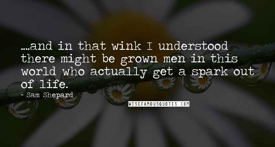 Sam Shepard Quotes: ....and in that wink I understood there might be grown men in this world who actually get a spark out of life.