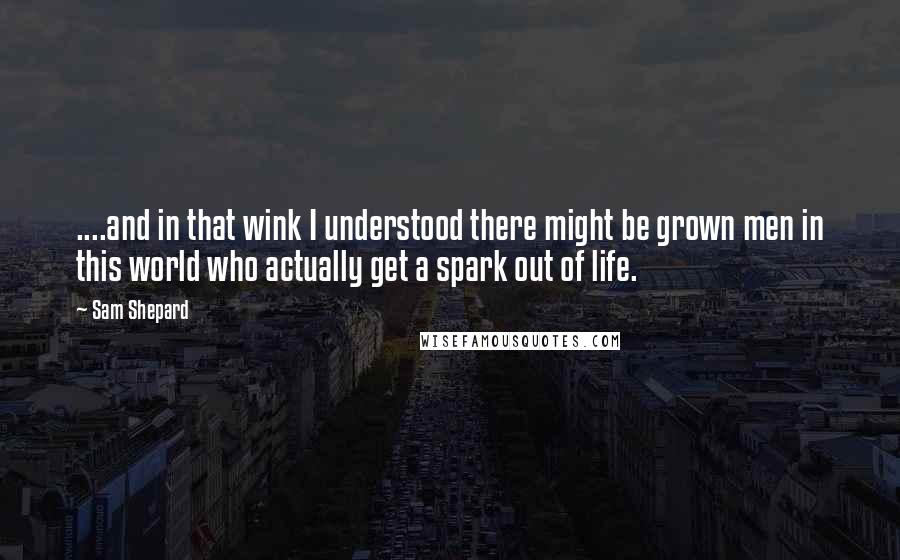Sam Shepard Quotes: ....and in that wink I understood there might be grown men in this world who actually get a spark out of life.