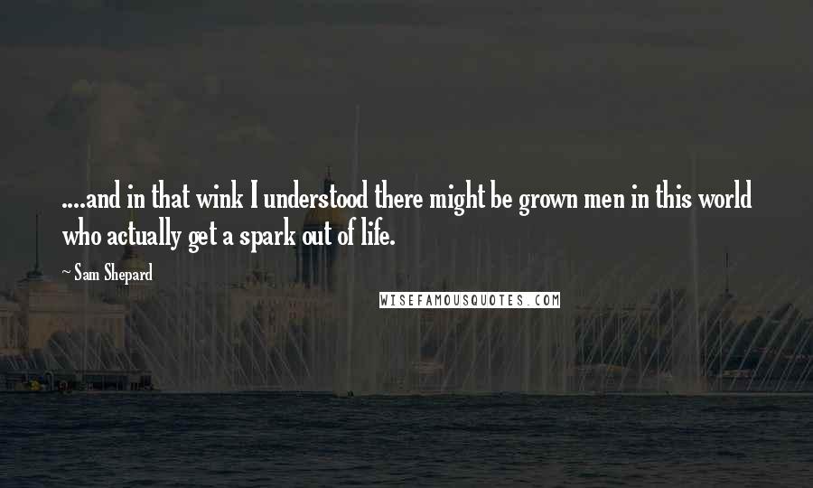 Sam Shepard Quotes: ....and in that wink I understood there might be grown men in this world who actually get a spark out of life.