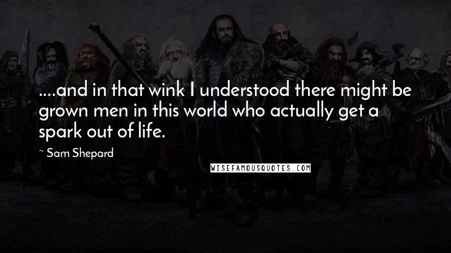 Sam Shepard Quotes: ....and in that wink I understood there might be grown men in this world who actually get a spark out of life.