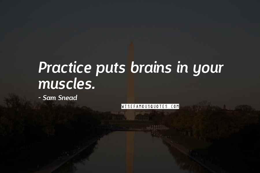 Sam Snead Quotes: Practice puts brains in your muscles.