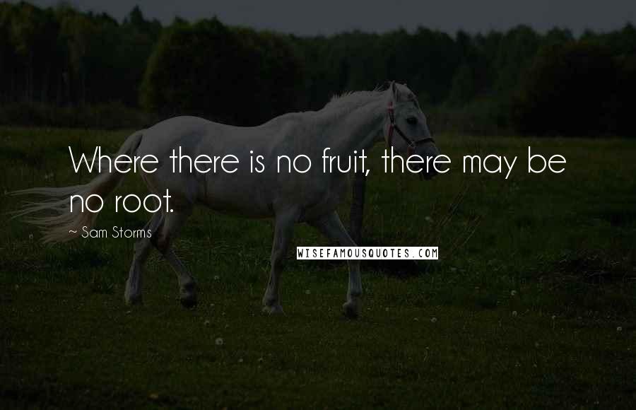 Sam Storms Quotes: Where there is no fruit, there may be no root.