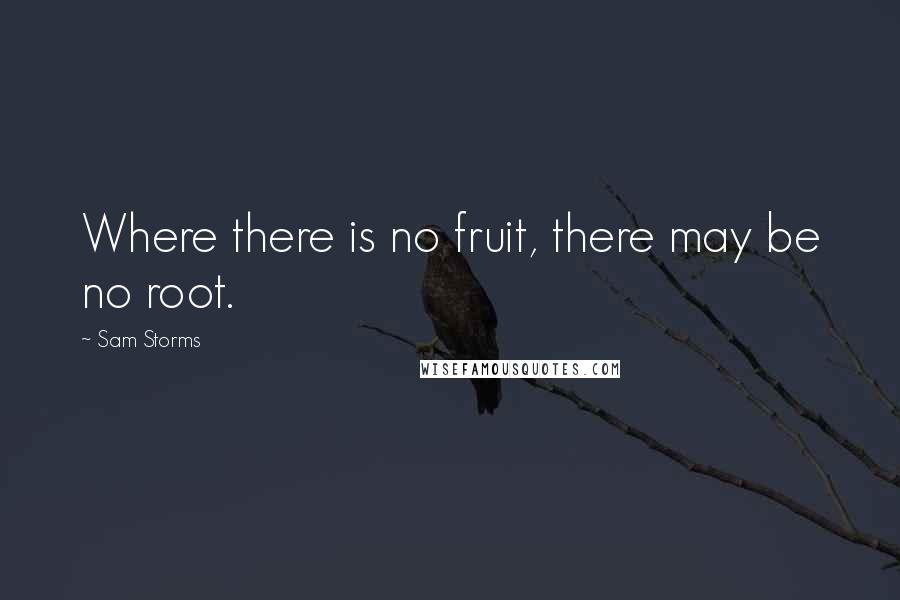 Sam Storms Quotes: Where there is no fruit, there may be no root.