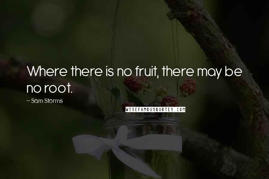 Sam Storms Quotes: Where there is no fruit, there may be no root.