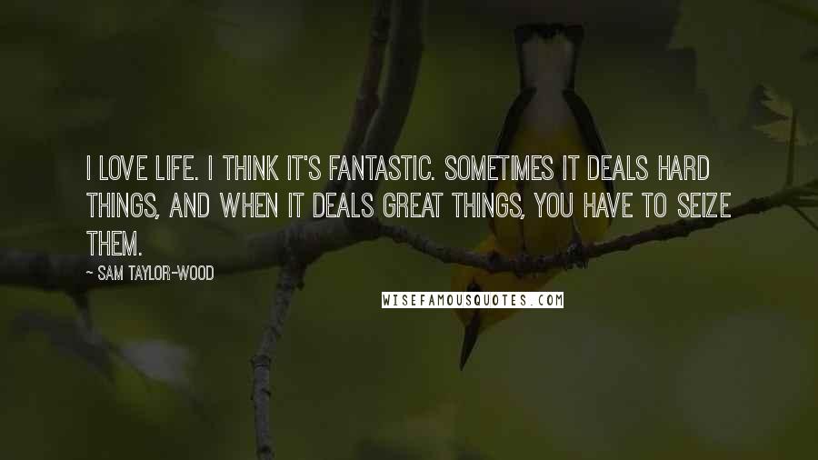 Sam Taylor-Wood Quotes: I love life. I think it's fantastic. Sometimes it deals hard things, and when it deals great things, you have to seize them.
