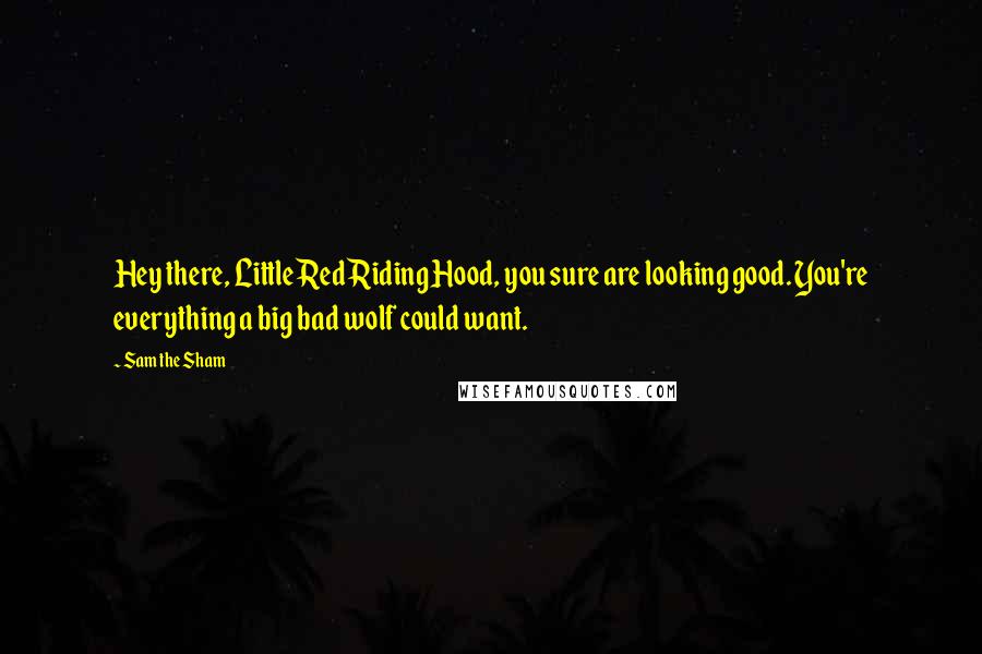 Sam The Sham Quotes: Hey there, Little Red Riding Hood, you sure are looking good. You're everything a big bad wolf could want.