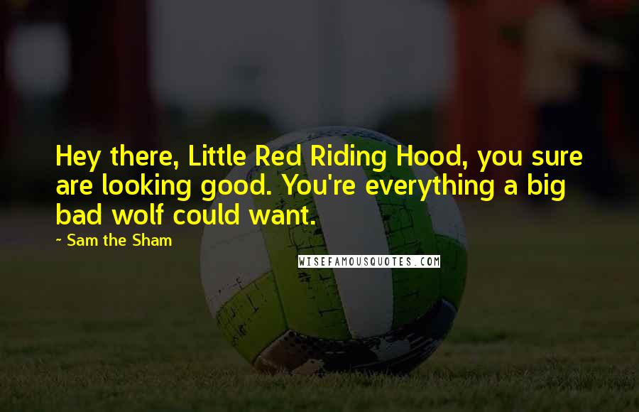 Sam The Sham Quotes: Hey there, Little Red Riding Hood, you sure are looking good. You're everything a big bad wolf could want.