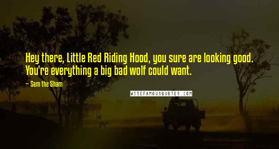 Sam The Sham Quotes: Hey there, Little Red Riding Hood, you sure are looking good. You're everything a big bad wolf could want.