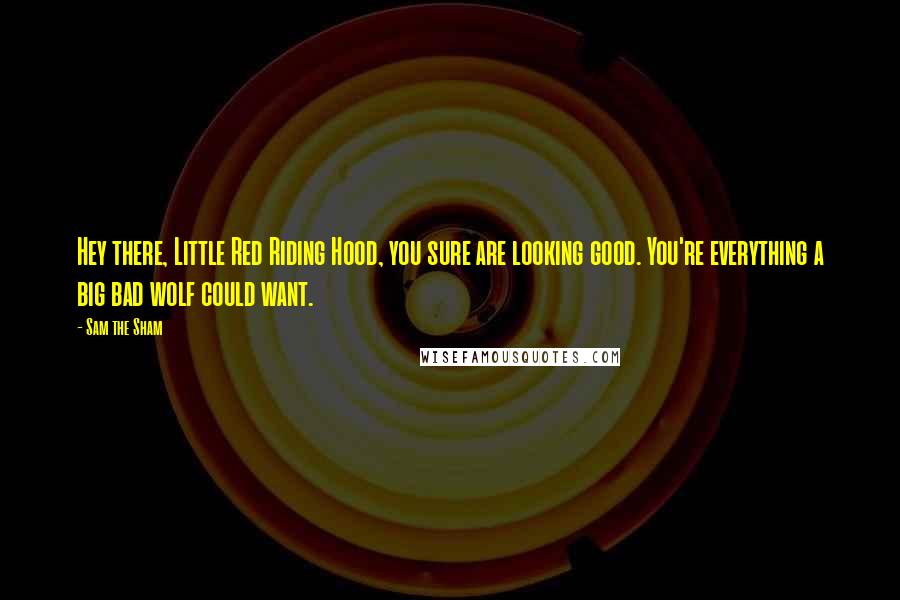 Sam The Sham Quotes: Hey there, Little Red Riding Hood, you sure are looking good. You're everything a big bad wolf could want.