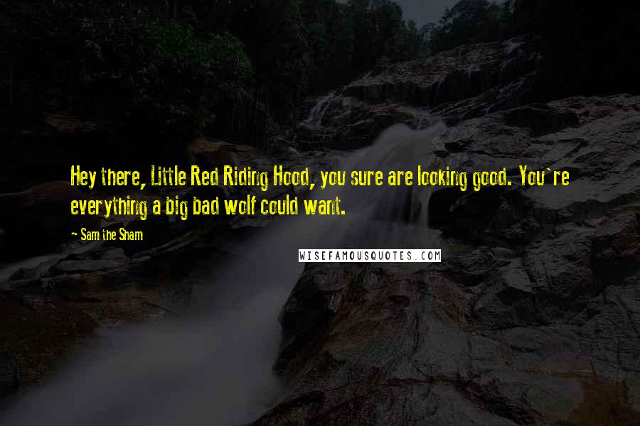 Sam The Sham Quotes: Hey there, Little Red Riding Hood, you sure are looking good. You're everything a big bad wolf could want.