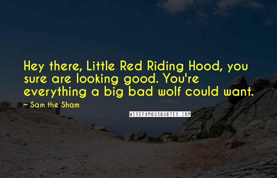 Sam The Sham Quotes: Hey there, Little Red Riding Hood, you sure are looking good. You're everything a big bad wolf could want.