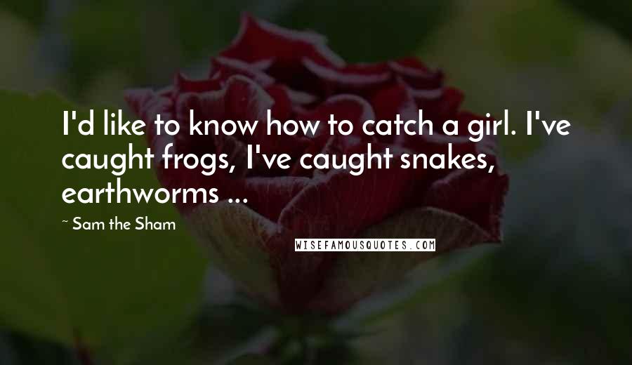 Sam The Sham Quotes: I'd like to know how to catch a girl. I've caught frogs, I've caught snakes, earthworms ...