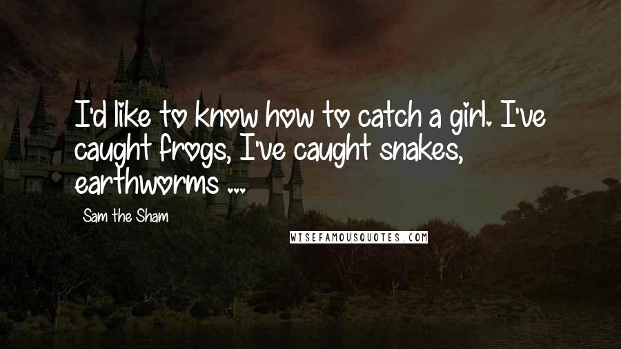 Sam The Sham Quotes: I'd like to know how to catch a girl. I've caught frogs, I've caught snakes, earthworms ...