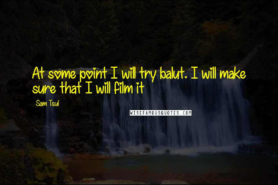 Sam Tsui Quotes: At some point I will try balut. I will make sure that I will film it