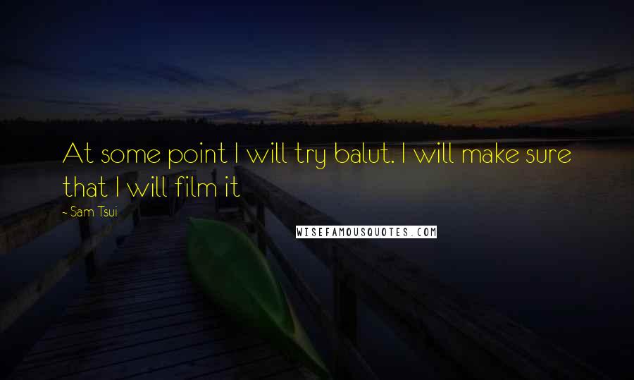 Sam Tsui Quotes: At some point I will try balut. I will make sure that I will film it