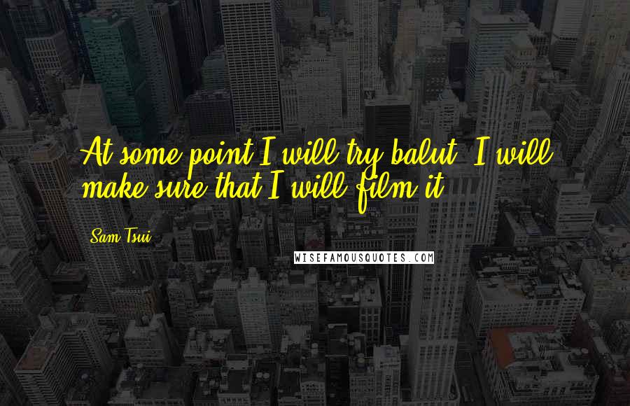 Sam Tsui Quotes: At some point I will try balut. I will make sure that I will film it