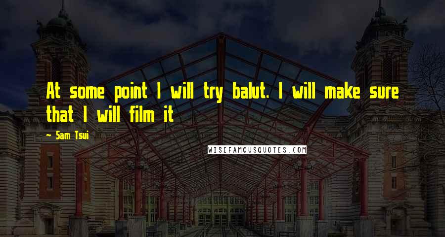 Sam Tsui Quotes: At some point I will try balut. I will make sure that I will film it