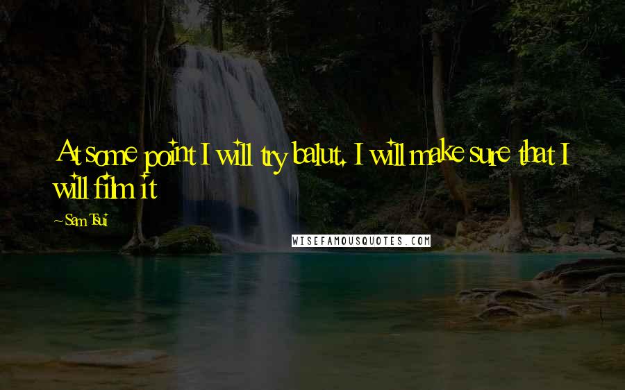 Sam Tsui Quotes: At some point I will try balut. I will make sure that I will film it