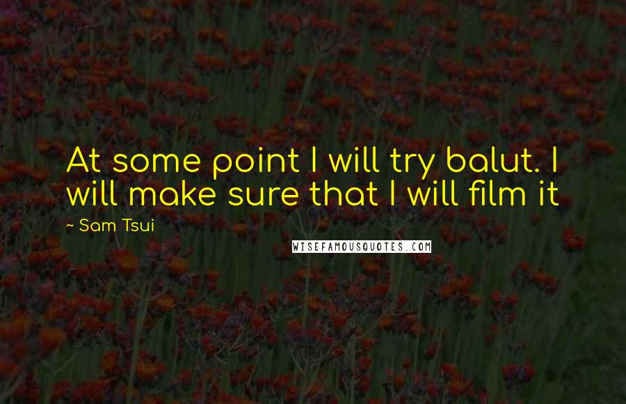 Sam Tsui Quotes: At some point I will try balut. I will make sure that I will film it