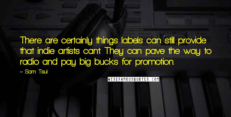 Sam Tsui Quotes: There are certainly things labels can still provide that indie artists can't. They can pave the way to radio and pay big bucks for promotion.