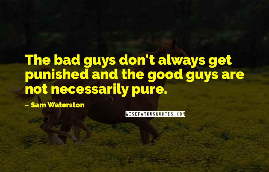 Sam Waterston Quotes: The bad guys don't always get punished and the good guys are not necessarily pure.