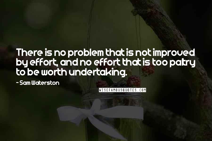 Sam Waterston Quotes: There is no problem that is not improved by effort, and no effort that is too paltry to be worth undertaking.