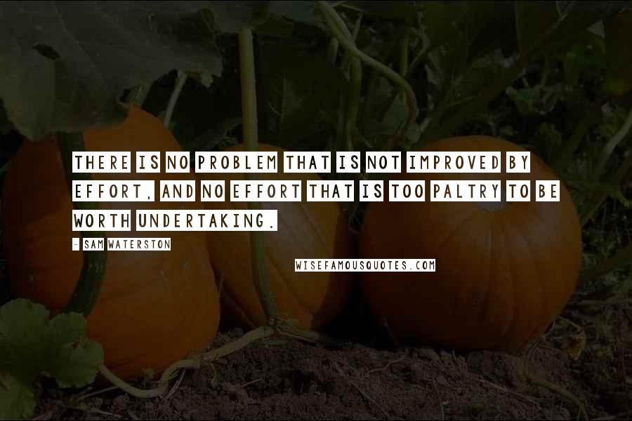 Sam Waterston Quotes: There is no problem that is not improved by effort, and no effort that is too paltry to be worth undertaking.