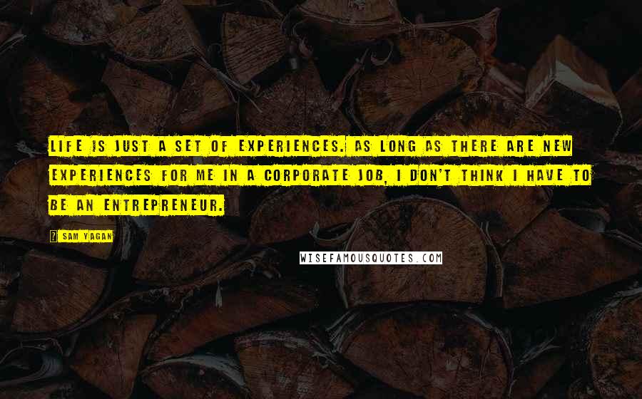 Sam Yagan Quotes: Life is just a set of experiences. As long as there are new experiences for me in a corporate job, I don't think I have to be an entrepreneur.