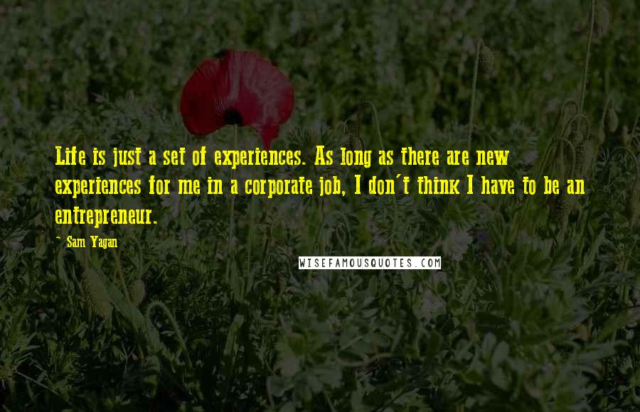 Sam Yagan Quotes: Life is just a set of experiences. As long as there are new experiences for me in a corporate job, I don't think I have to be an entrepreneur.
