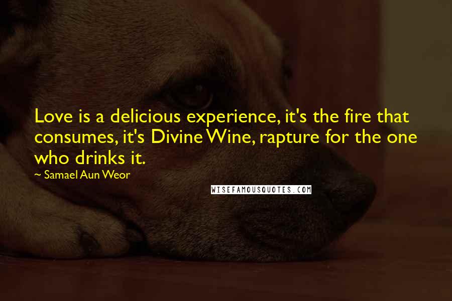 Samael Aun Weor Quotes: Love is a delicious experience, it's the fire that consumes, it's Divine Wine, rapture for the one who drinks it.