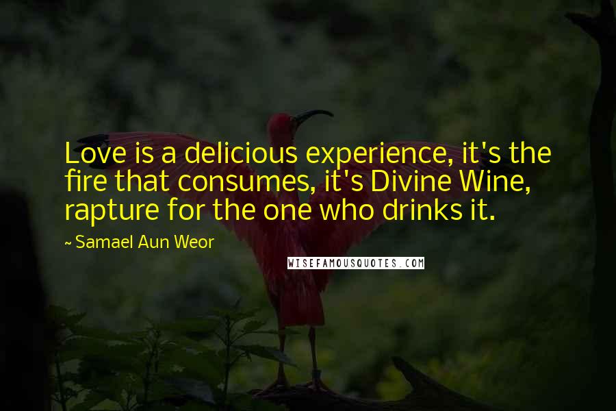 Samael Aun Weor Quotes: Love is a delicious experience, it's the fire that consumes, it's Divine Wine, rapture for the one who drinks it.