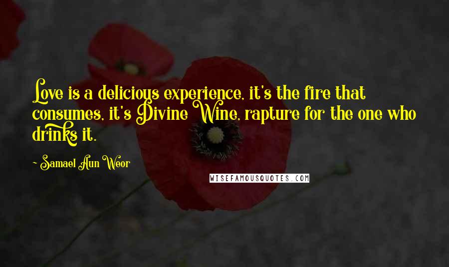 Samael Aun Weor Quotes: Love is a delicious experience, it's the fire that consumes, it's Divine Wine, rapture for the one who drinks it.