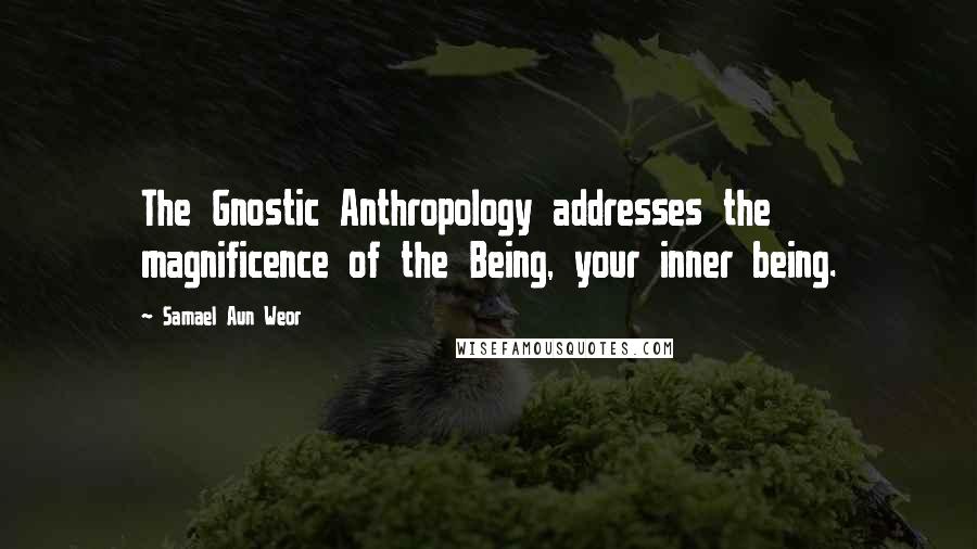 Samael Aun Weor Quotes: The Gnostic Anthropology addresses the magnificence of the Being, your inner being.
