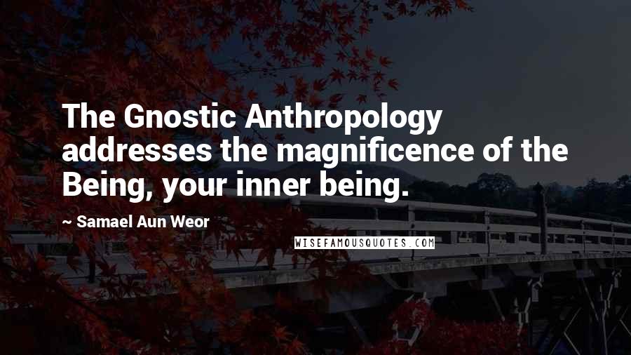 Samael Aun Weor Quotes: The Gnostic Anthropology addresses the magnificence of the Being, your inner being.
