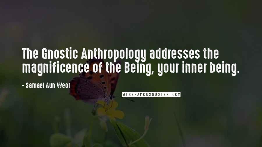Samael Aun Weor Quotes: The Gnostic Anthropology addresses the magnificence of the Being, your inner being.