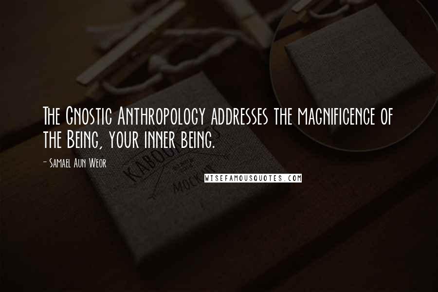 Samael Aun Weor Quotes: The Gnostic Anthropology addresses the magnificence of the Being, your inner being.