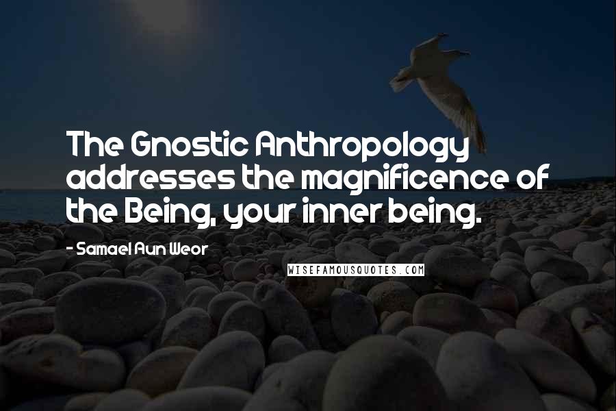 Samael Aun Weor Quotes: The Gnostic Anthropology addresses the magnificence of the Being, your inner being.