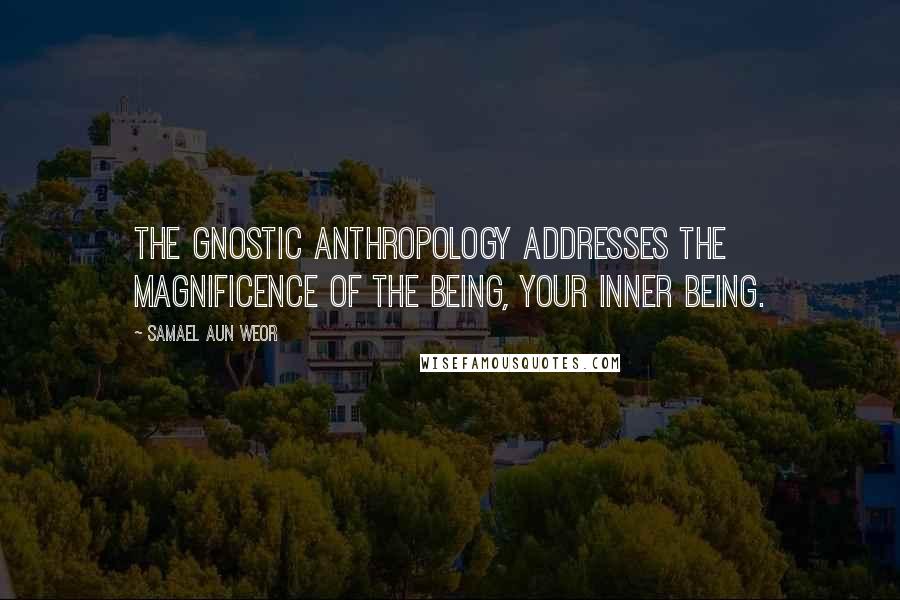 Samael Aun Weor Quotes: The Gnostic Anthropology addresses the magnificence of the Being, your inner being.