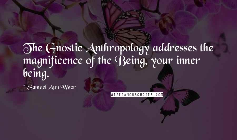 Samael Aun Weor Quotes: The Gnostic Anthropology addresses the magnificence of the Being, your inner being.
