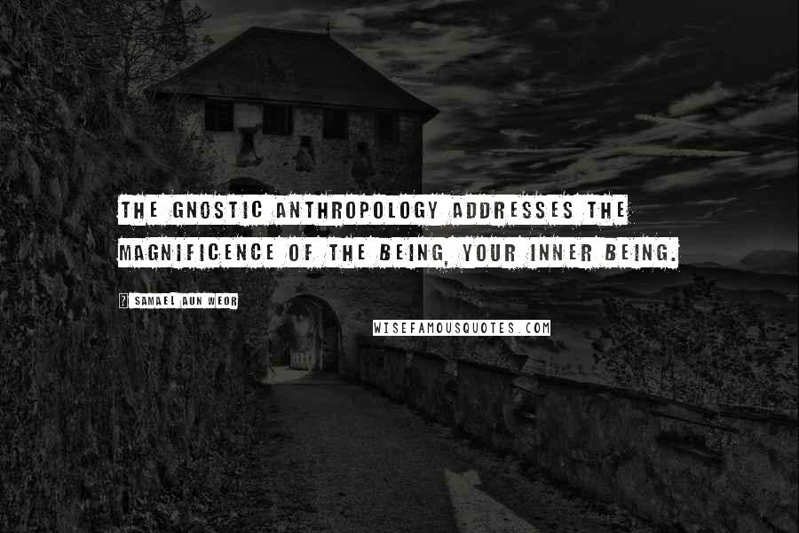 Samael Aun Weor Quotes: The Gnostic Anthropology addresses the magnificence of the Being, your inner being.