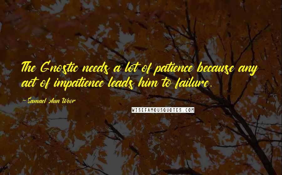 Samael Aun Weor Quotes: The Gnostic needs a lot of patience because any act of impatience leads him to failure.