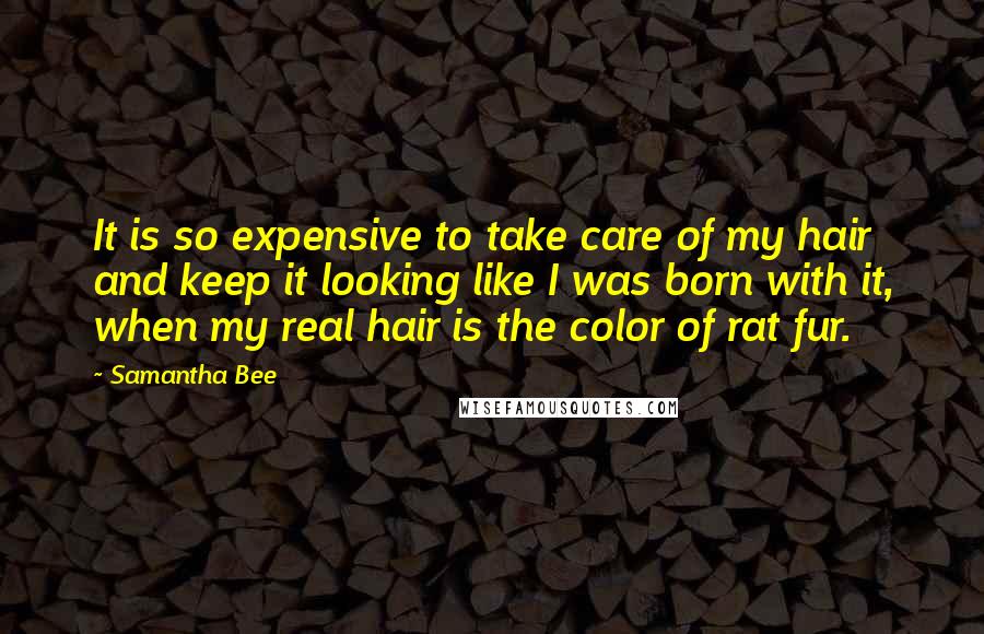 Samantha Bee Quotes: It is so expensive to take care of my hair and keep it looking like I was born with it, when my real hair is the color of rat fur.