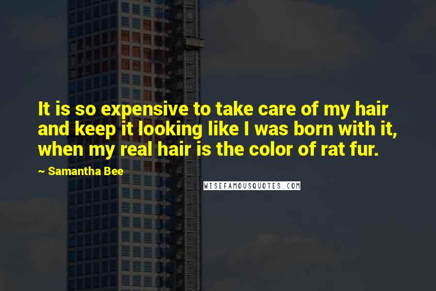 Samantha Bee Quotes: It is so expensive to take care of my hair and keep it looking like I was born with it, when my real hair is the color of rat fur.