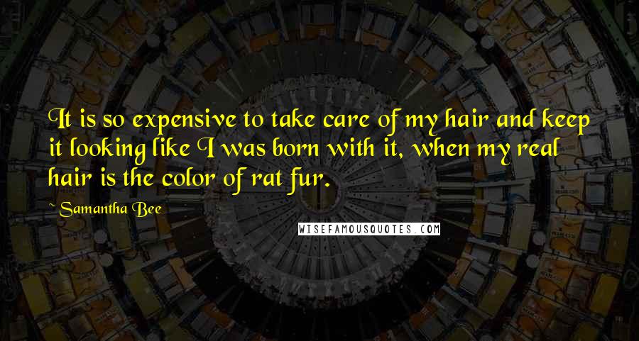 Samantha Bee Quotes: It is so expensive to take care of my hair and keep it looking like I was born with it, when my real hair is the color of rat fur.